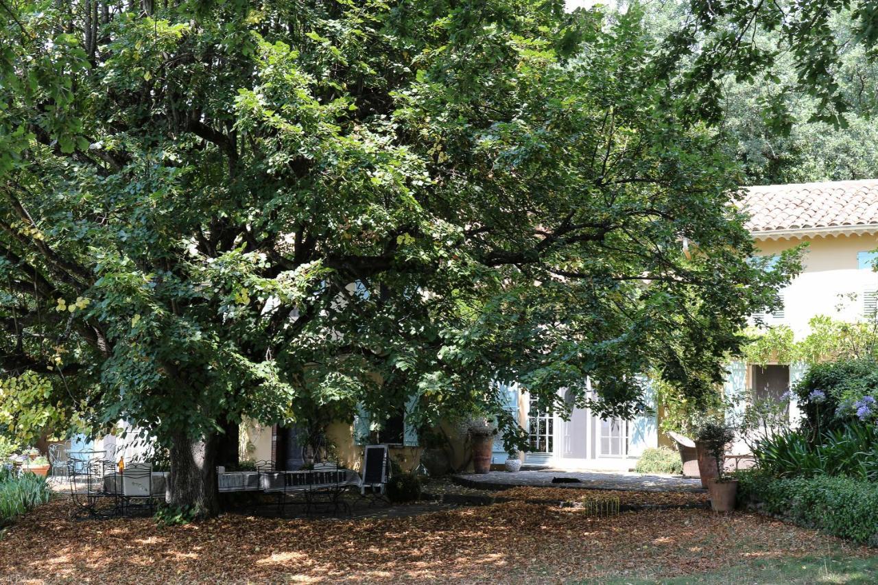 Landhuis Domaine Des Tilleuls D'or Saint-Cézaire-sur-Siagne