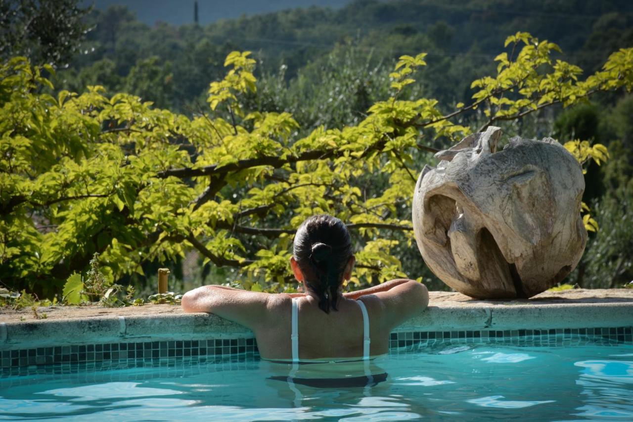 Landhuis Domaine Des Tilleuls D'or Saint-Cézaire-sur-Siagne