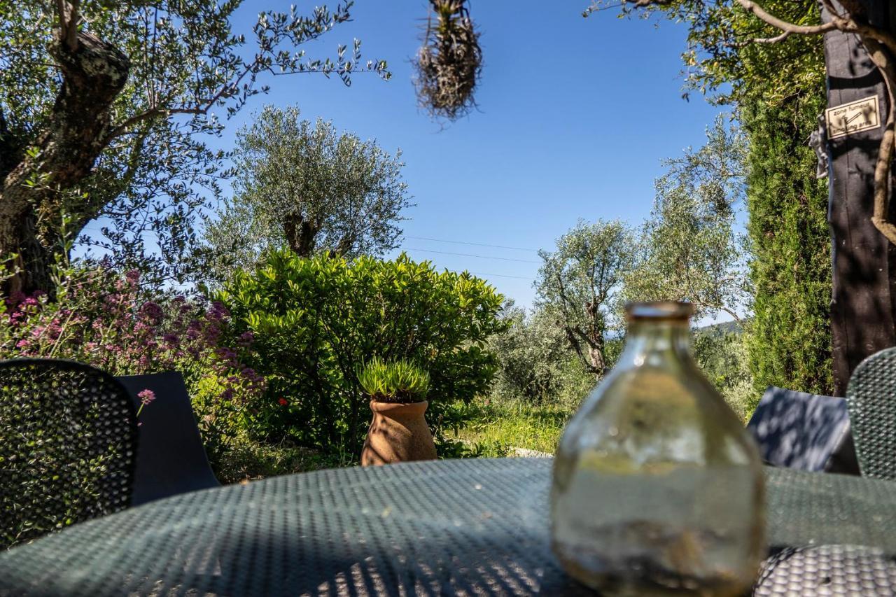 Domaine Des Tilleuls D'or Landhuis Saint-Cézaire-sur-Siagne