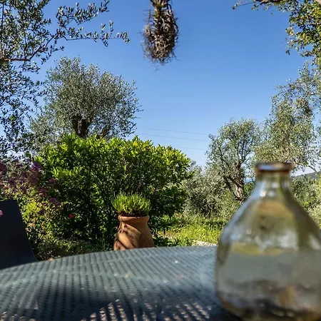 Domaine Des Tilleuls D'Or Saint-Cézaire-sur-Siagne Kamer foto