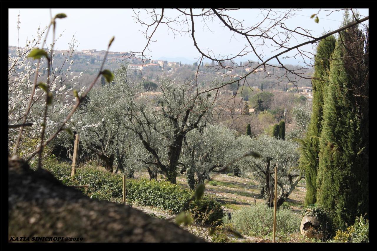 Country house Domaine Des Tilleuls D'or