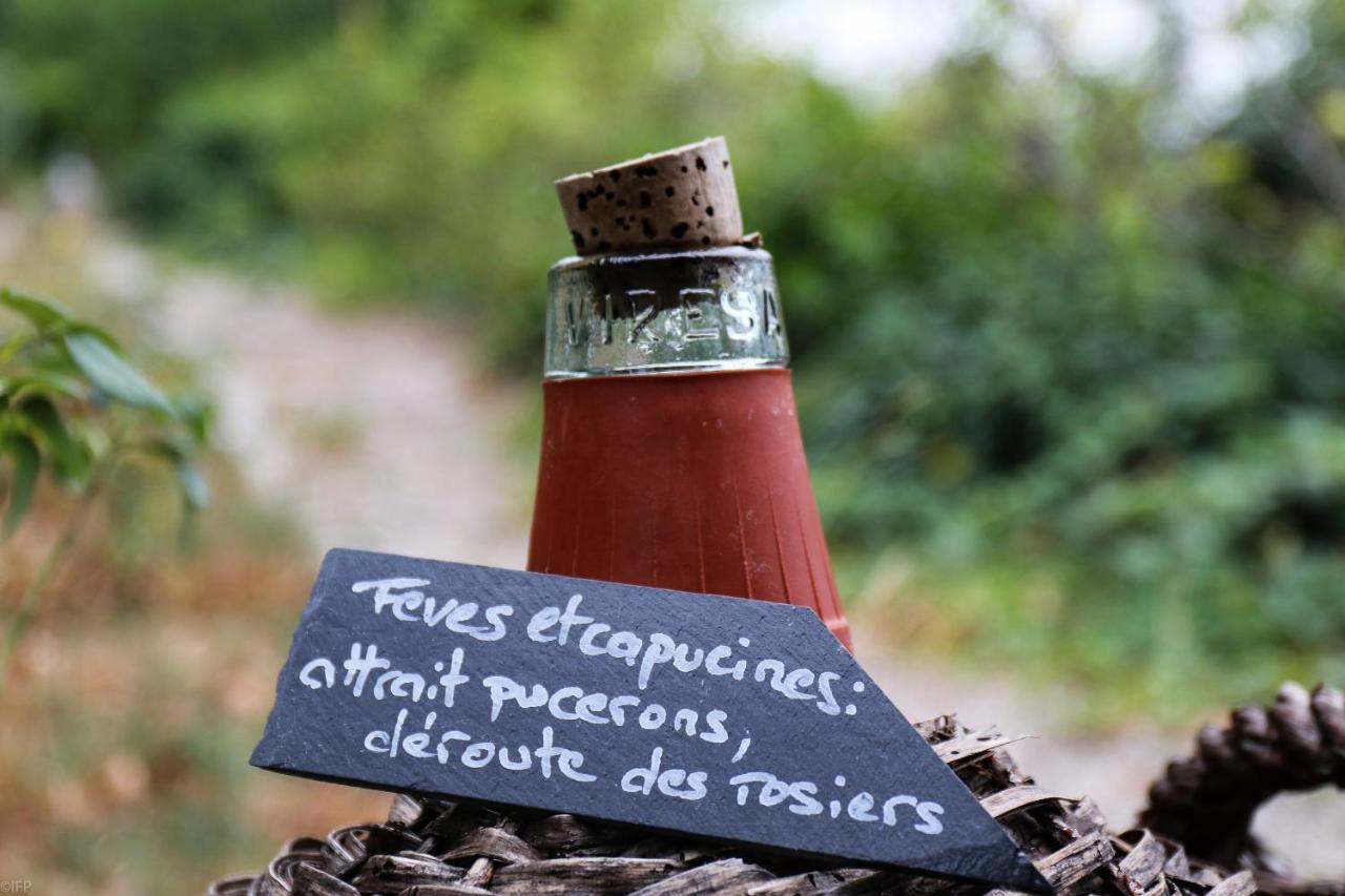 Domaine Des Tilleuls D'or * Saint-Cezaire-sur-Siagne